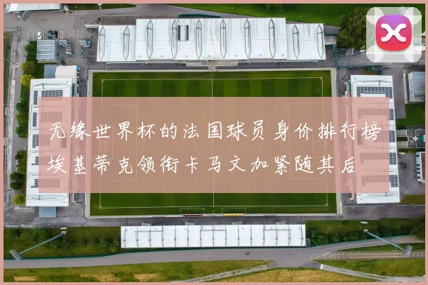 无缘世界杯的法国球员身价排行榜埃基蒂克领衔卡马文加紧随其后